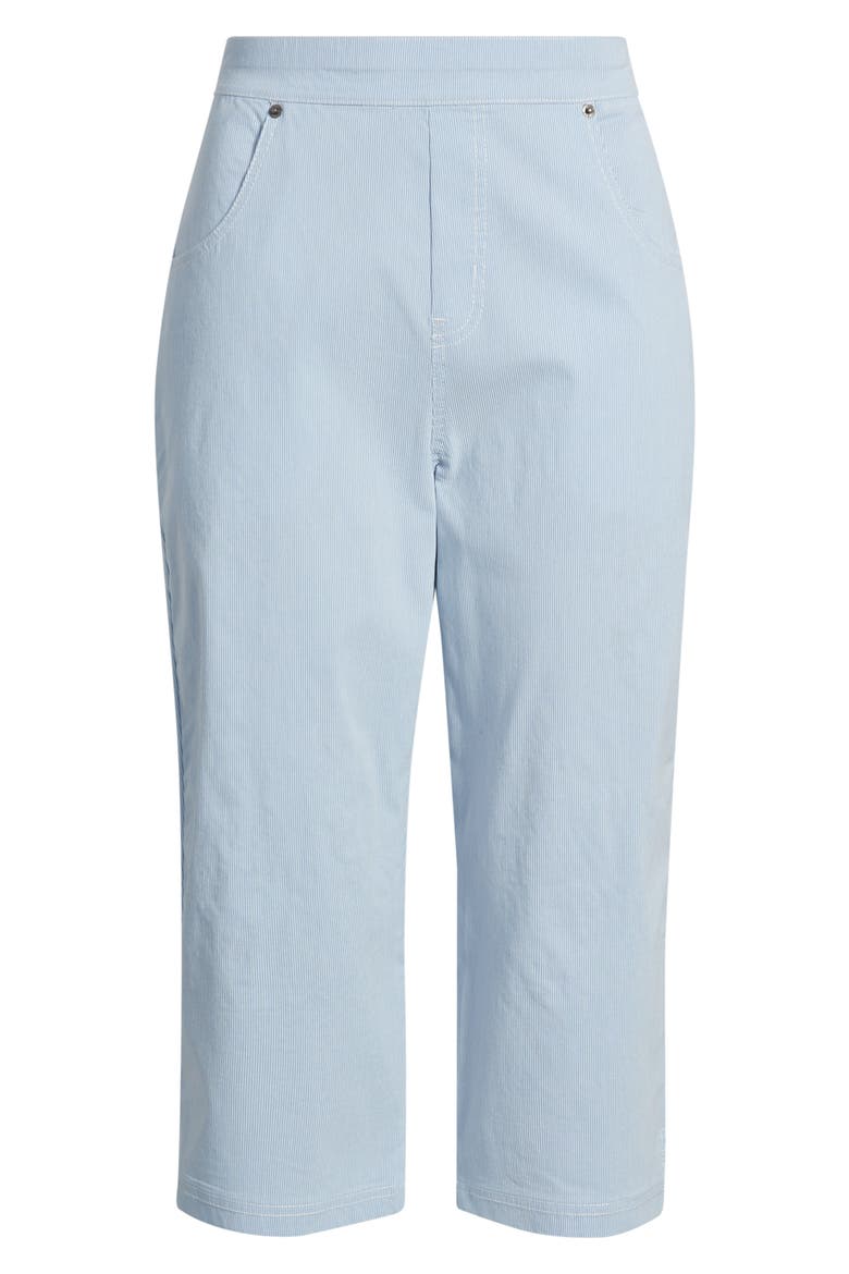 Spring Stripe Petal Pusher Capri Pants, Alternate, color, BLUE