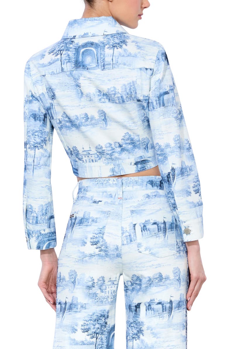 Alice + Olivia Chloe Boxy Crop Jacket, Alternate, color, 