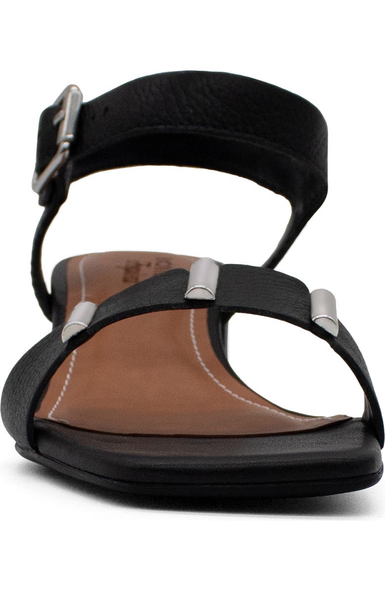 Bottero Botcatia Tropical Verao XXIII Ankle Strap Sandal, Alternate, color, Preto