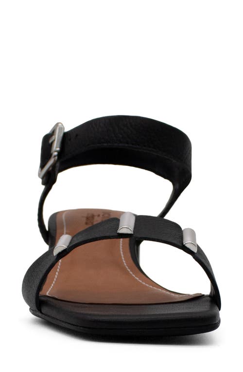 Bottero Botcatia Tropical Verao Xxiii Ankle Strap Sandal