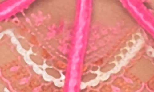Mapalé Mapale Embroidered Mesh Underwire Bra & Thong Set In Rose Whisper