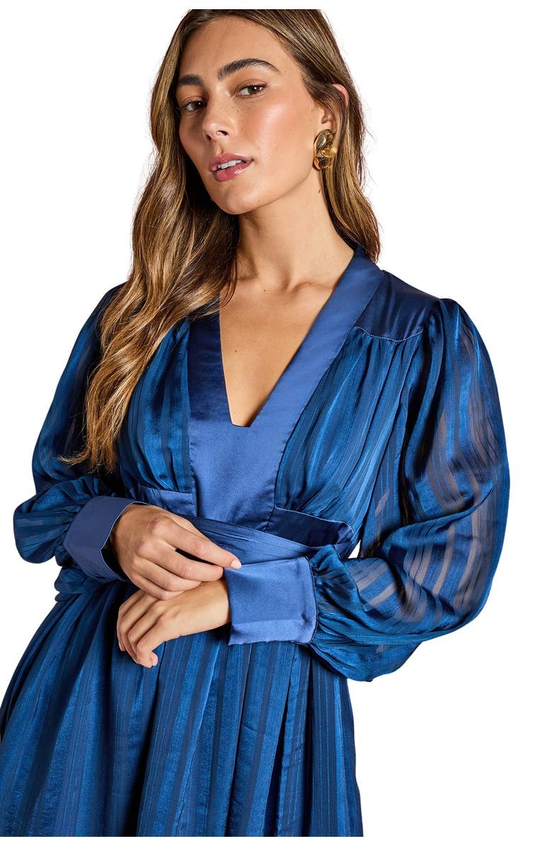 Coast V-Neck Long Sleeve Maxi Dress, Alternate, color, Navy