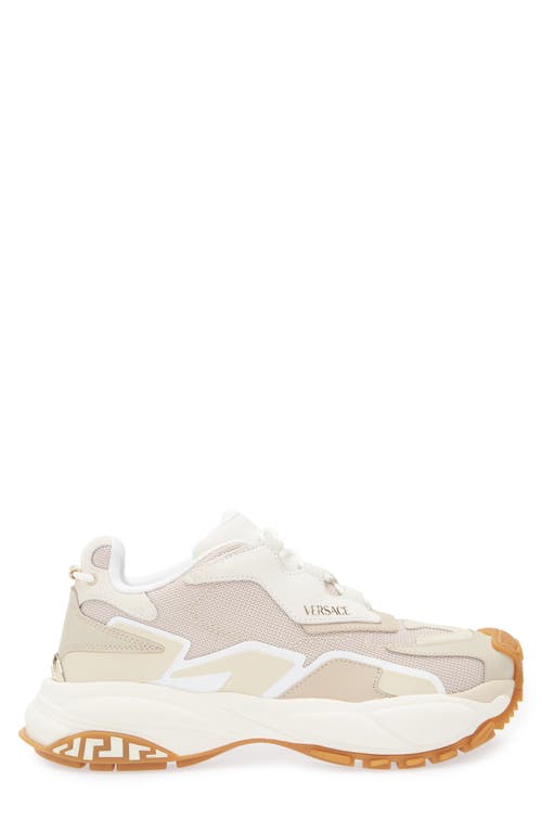 Versace Low Top Sneaker In Mastic Chiffon- Gold