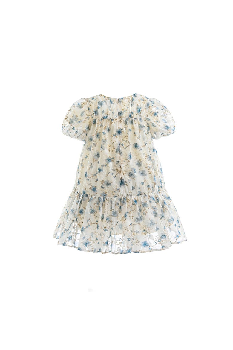 Vienna Floral Dress, Alternate, color, Blue