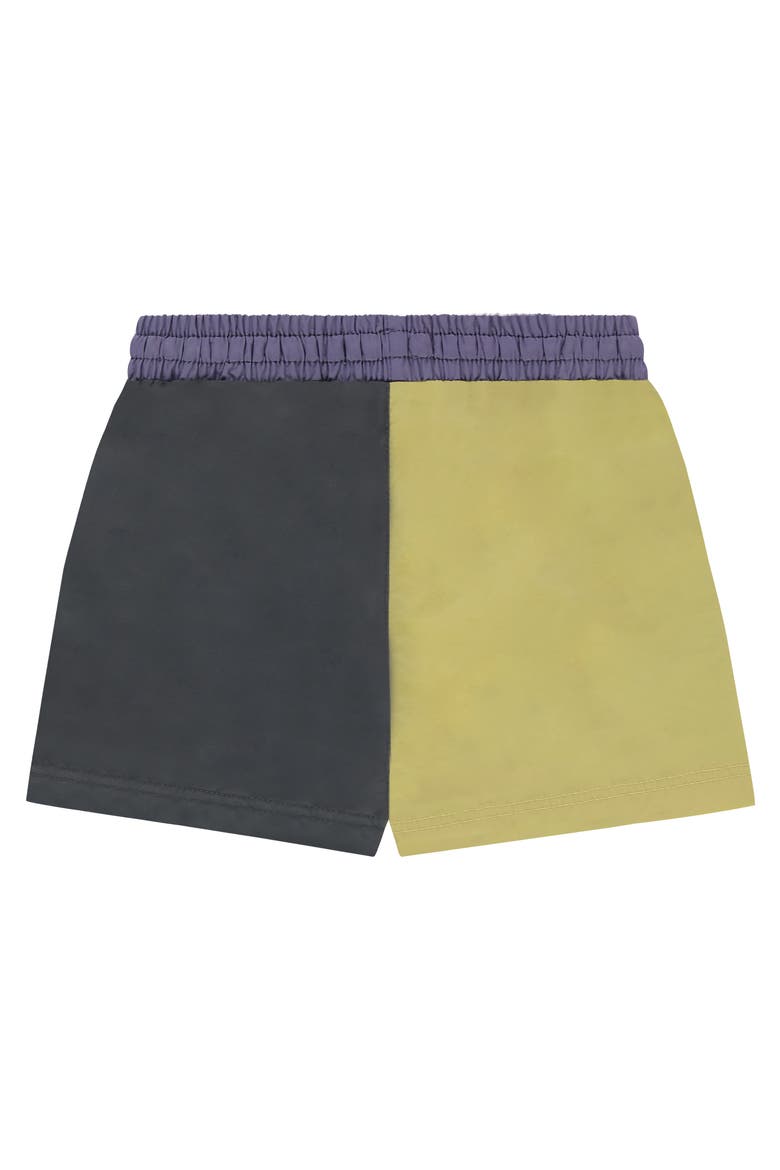 Colorblock Swim Shorts, Alternate, color, Dark Grey