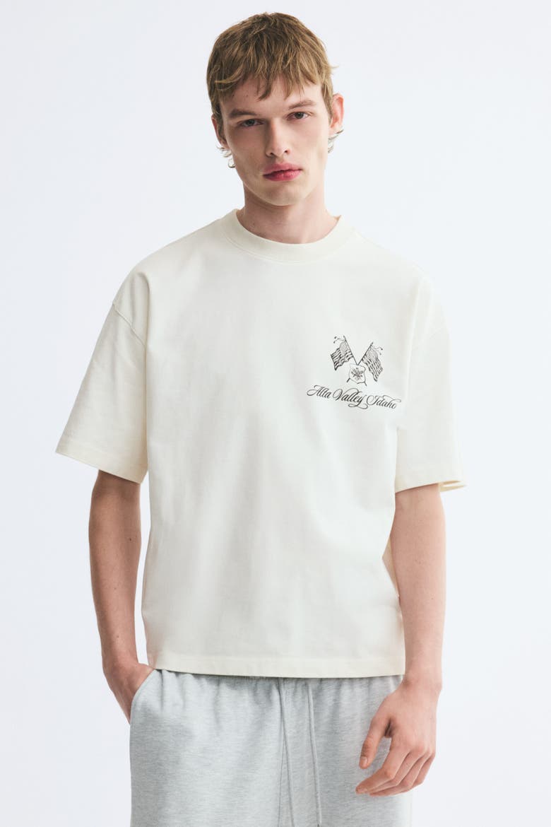 Oversized Boxy Printed Cotton T-Shirt, Alternate, color, White/Alta Valley Idaho