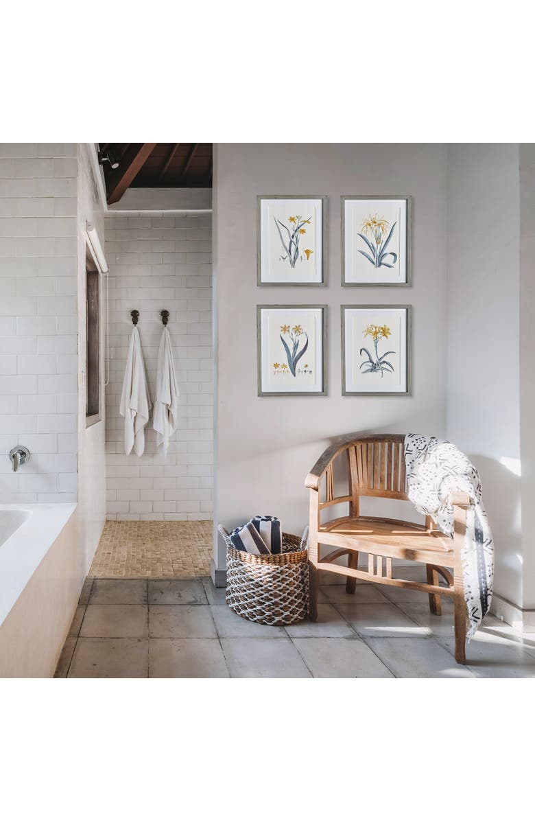 Napa Home & Garden Daffodil Prints Set of 4, Alternate, color, 