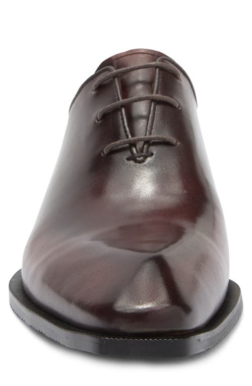 Maison Forte Director Wholecut Oxford In Chestnut