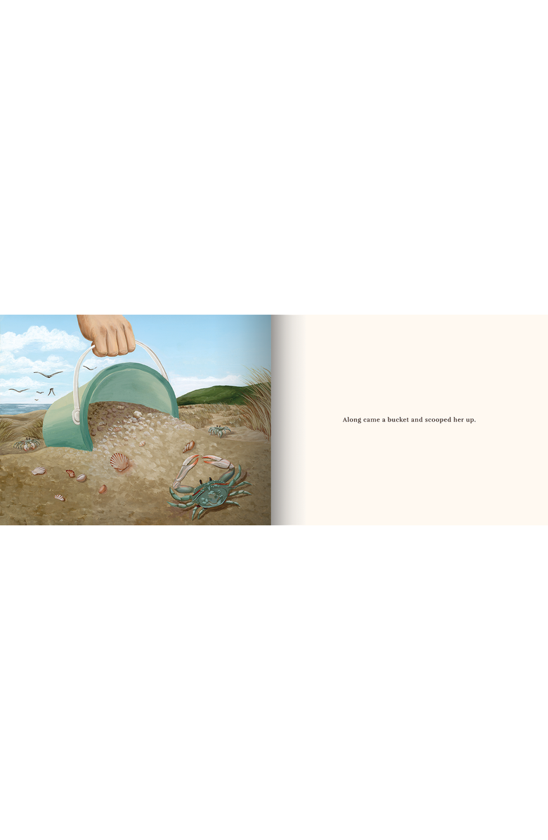 Milkbarn A Sand Story Book, Alternate, color, Seashells