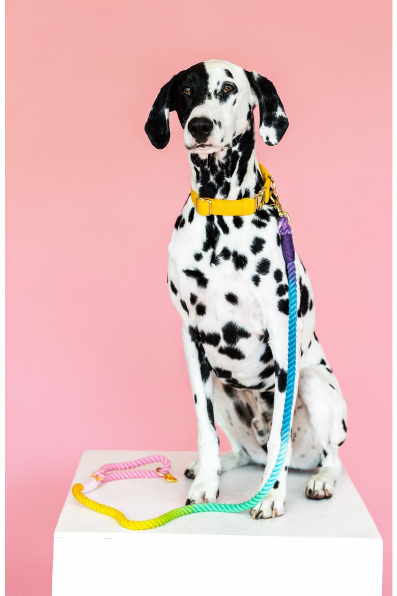 Nola Rope Dog Leash, Alternate, color, Nola 4ft
