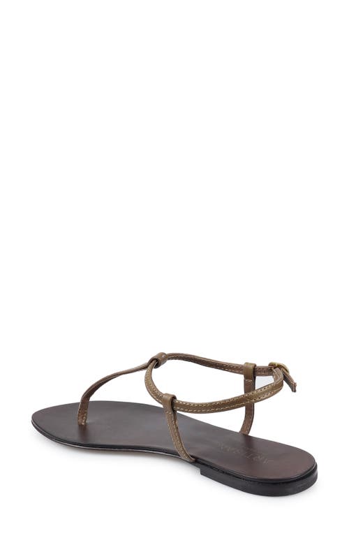 Artisan Crafted By Zigi Ankle Strap Sandal In Brown