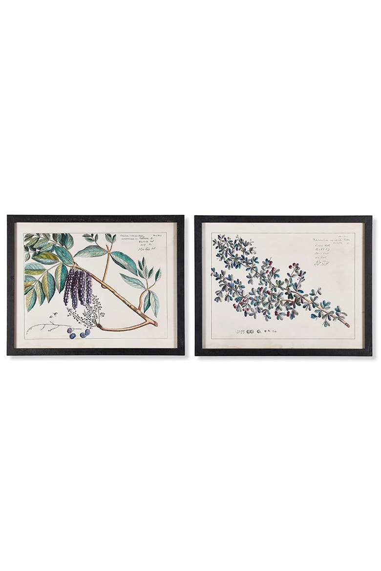 Berry Branch Botanical Study, Set Of 6, Alternate, color, Blue