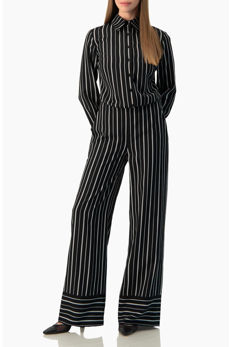 Pinstripe Fitted Long-Sleeve Button-Front Shirt, Alternate, color, Black