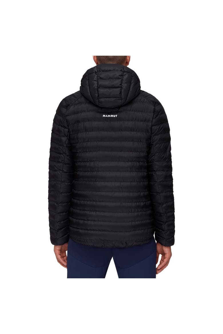 Albula In Hooded Jacket - Men's, Alternate, color, Black