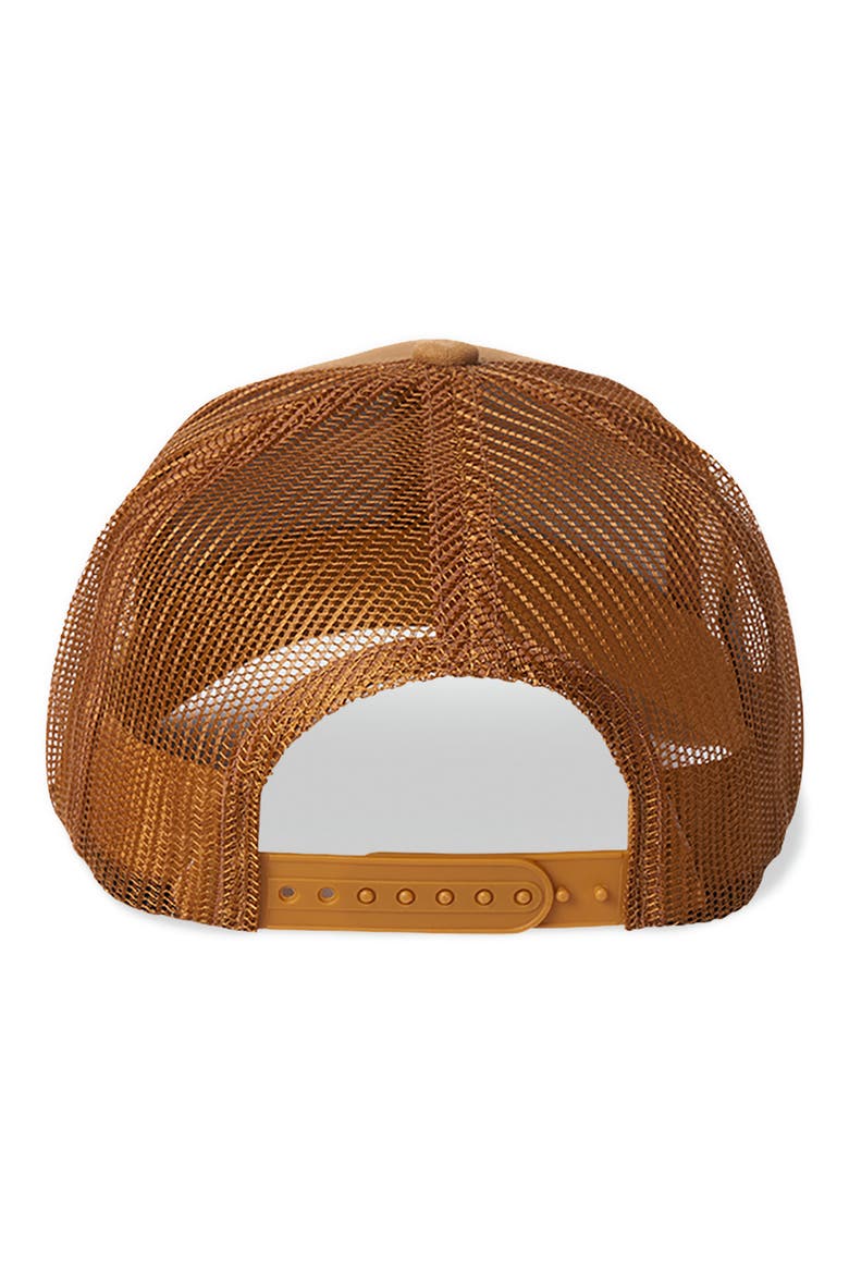 Crest x MP Snapback Canvas Baseball Cap, Alternate, color, GOLDEN BROWN/ GOLDEN BROWN