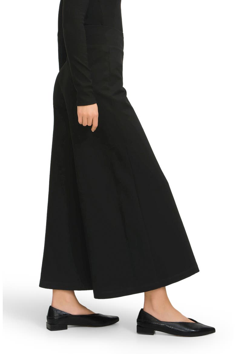 Daniela Wide Leg Pants, Alternate, color, BLACK