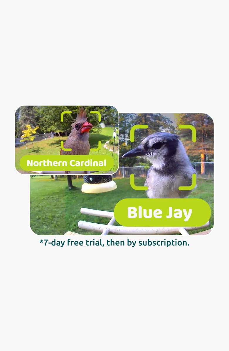 Birdfy Ebony Lite Wooden Smart Bird Feeder, Alternate, color, Beige