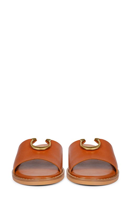 Saint G Amber Slide Sandal In Cognac