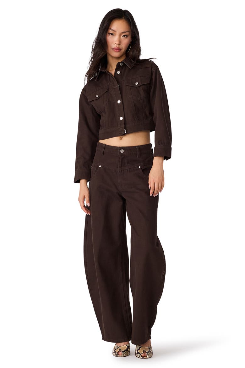 Dove Cropped Denim Jacket, Alternate, color, ESPRESSO