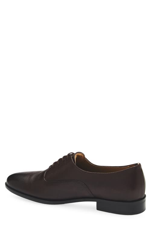 Hugo Boss Boss Colboy Oxford