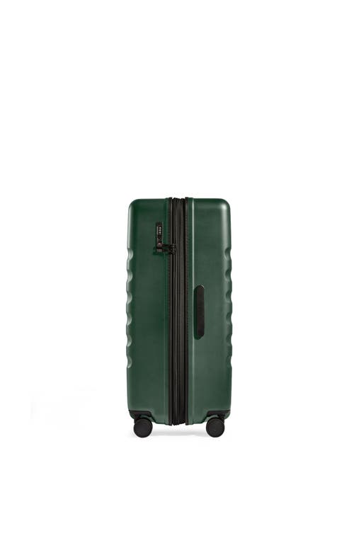 Antler Icon Stripe Large Suitcase In  Green