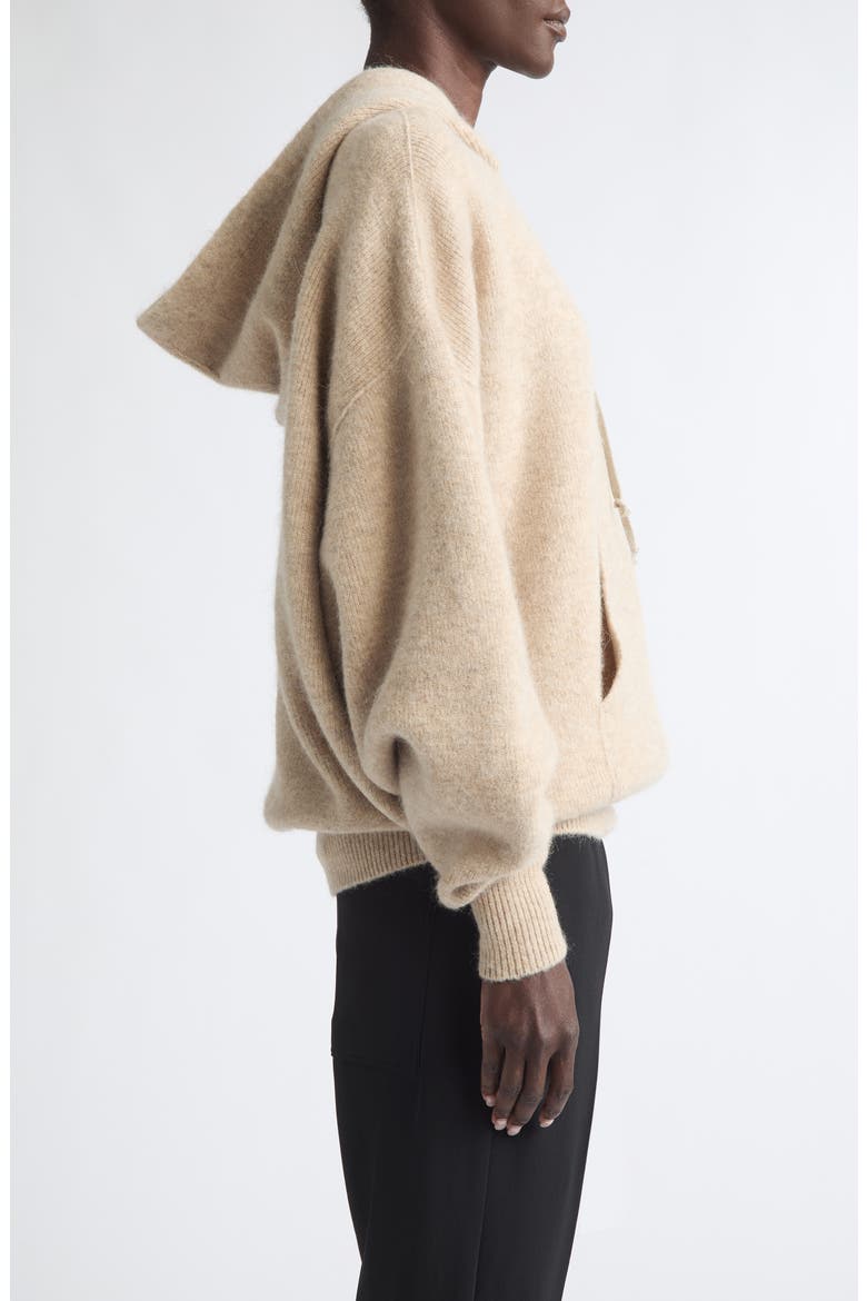 Hun Sweater Hoodie, Alternate, color, DNA