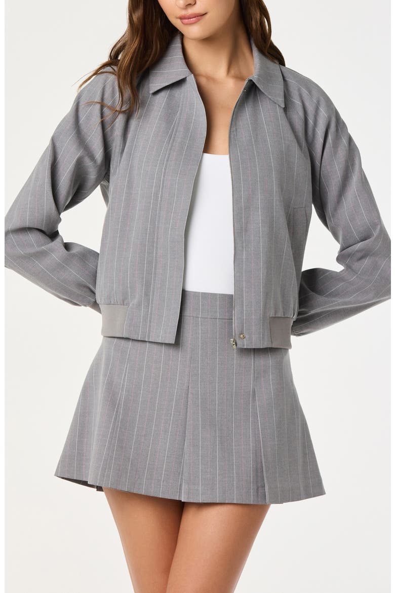 Pleated Stripe Miniskirt, Alternate, color, GREY STRIPE