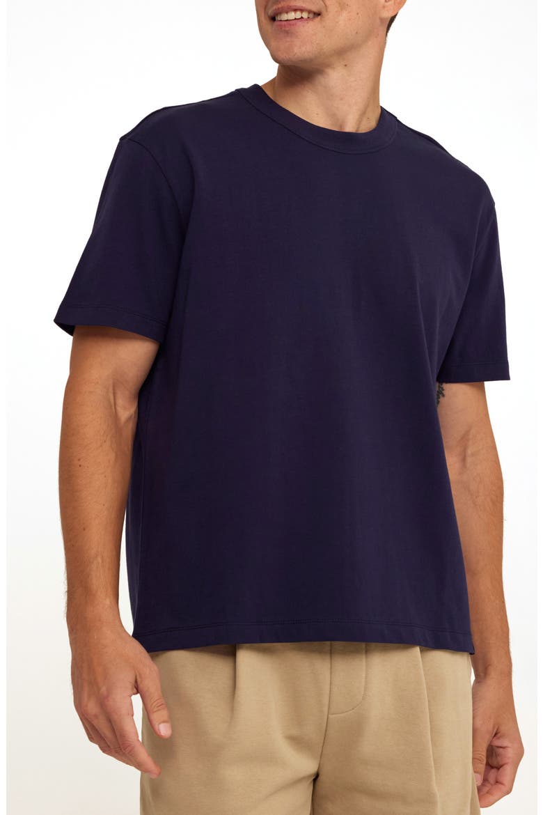 Johnny Relaxed Fit Cotton Jersey T-Shirt, Main, color, STARGAZER