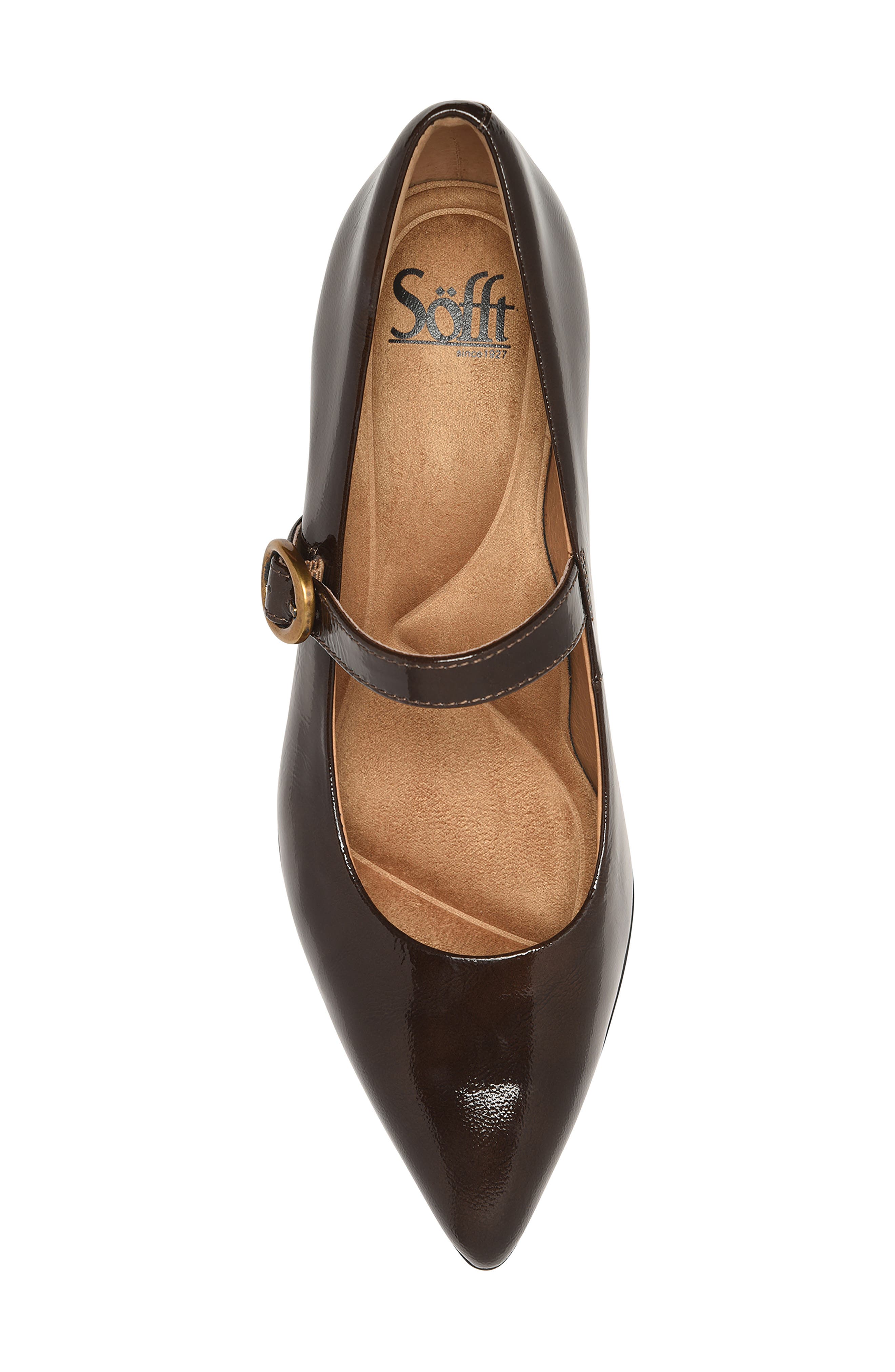 Stacy Pointed Toe Mary Jane Pump, Alternate, color, CHOCOLATE