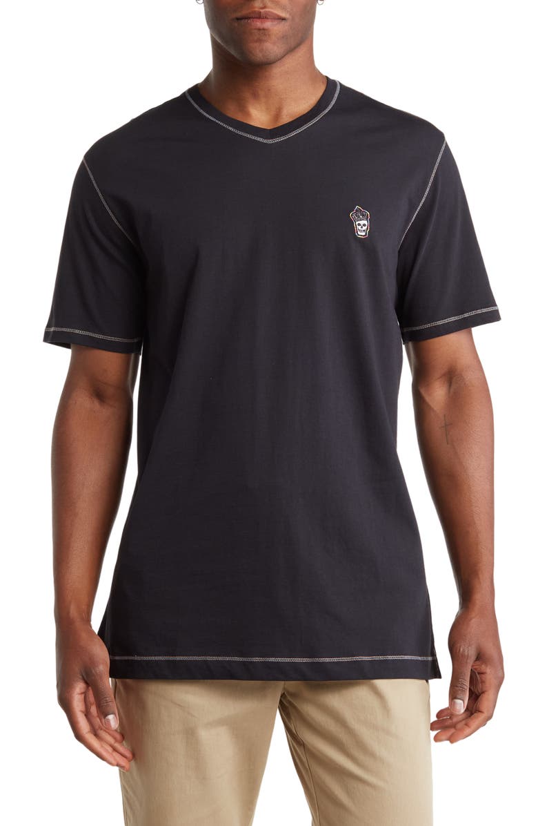 Robert Graham Damien Short Sleeve V-Neck T-Shirt, Main, color, 