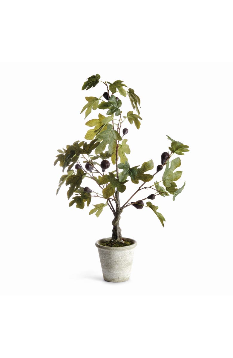 Napa Home & Garden Fig Tree With Figs Potted Drop-In 34", Main, color, Green
