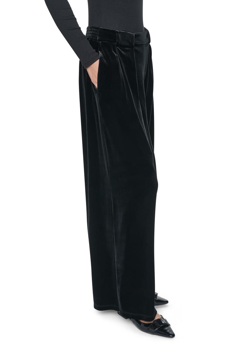 Pleated Velvet Wide Leg Pants, Alternate, color, BLACK