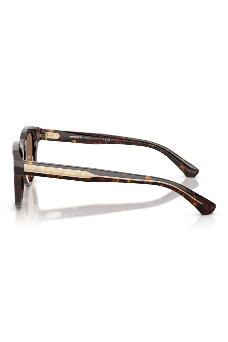 48mm Phantos Sunglasses, Alternate, color, DARK HAVANA / DARK BROWN