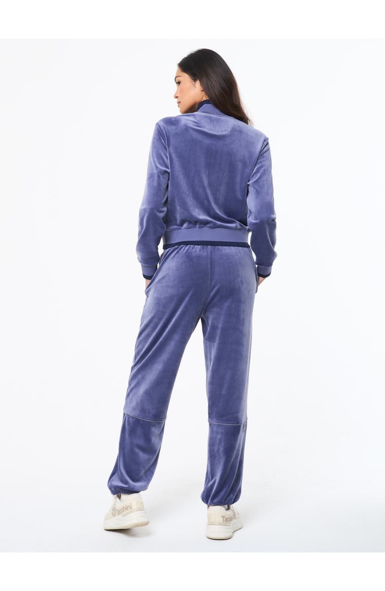 Sergio Tacchini Leta Velour Jacket, Alternate, color, Heron