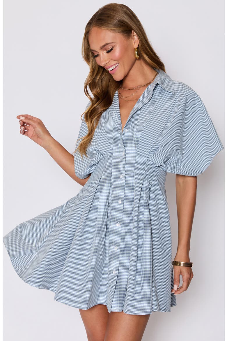Benson Pleated Shirtdress (Nordstrom Exclusive), Alternate, color, BLUE/ WHITE