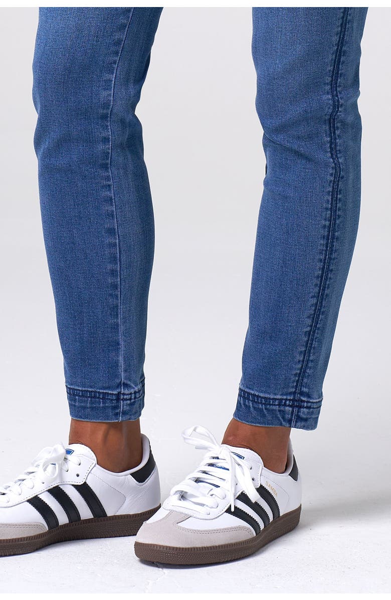 Franne Golde Slim Stretch Pull-On Ankle Jean, Alternate, color, Classic Wash