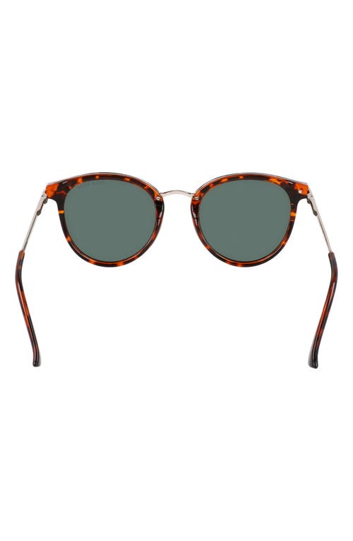 Cole Haan 48mm Oval Sunglasses In Tortoise