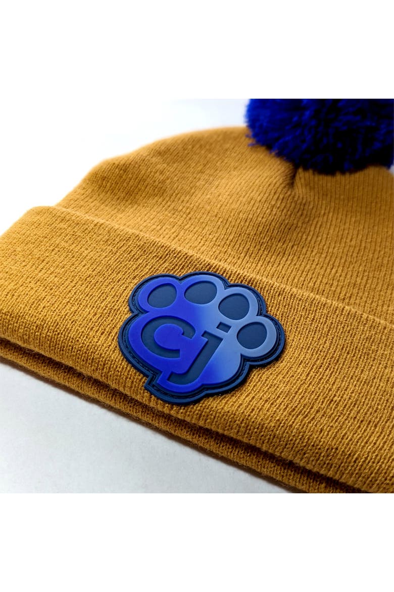 Magic Beanie Brown & Blue Toddler Winter Hat, Acrylic Yarn, Alternate, color, Brown