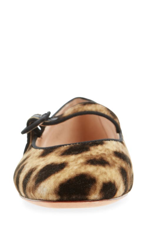 Loeffler Randall Ginger Mary Jane Flats Leopard In Transparent