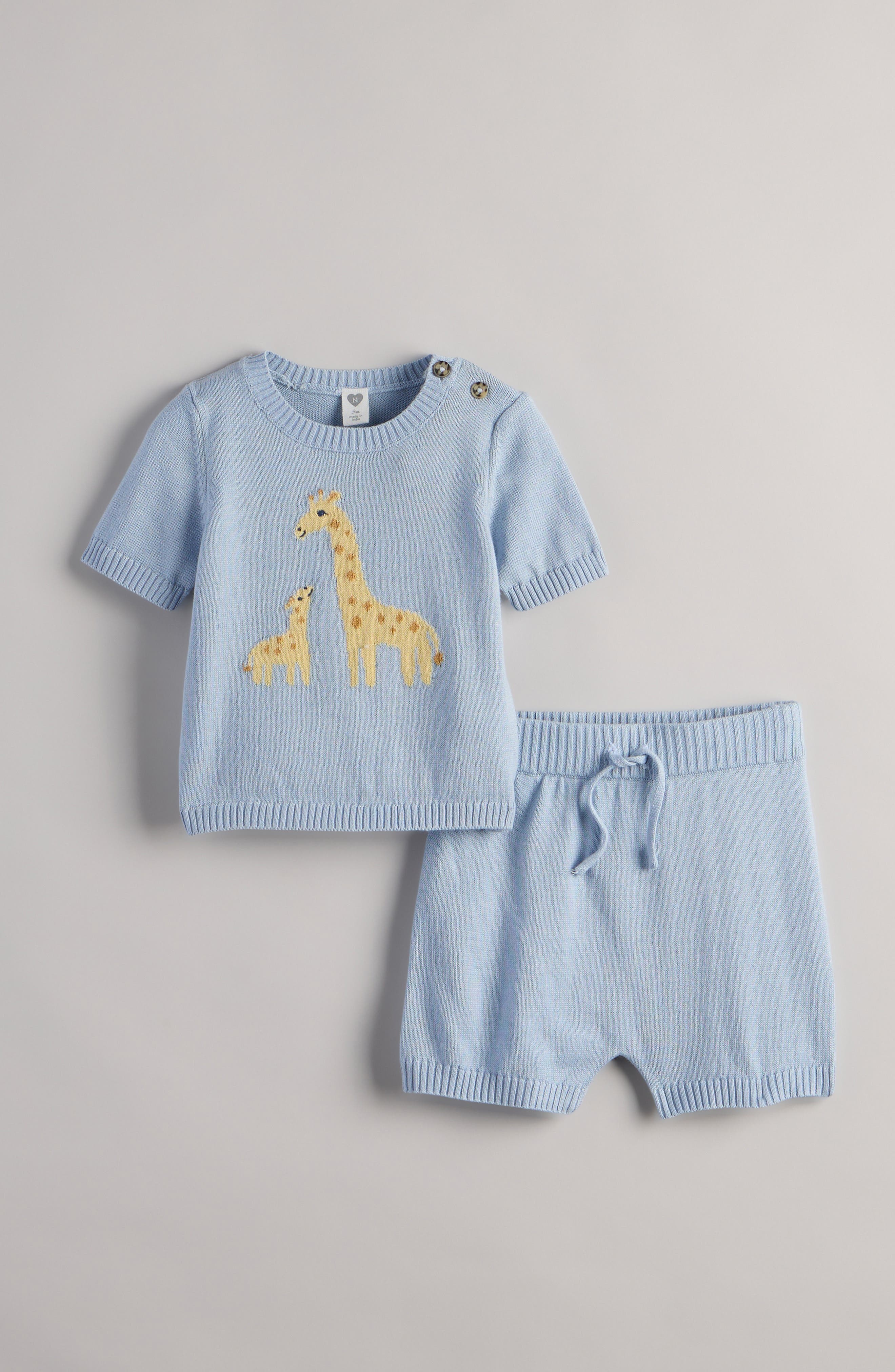 BLUE SKYWAY GIRAFFE