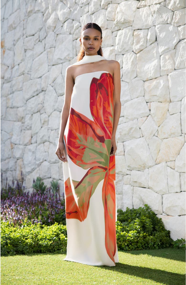 DIARRABLU Tubi Twa Strapless Dress Sira Rose With Shawl, Alternate, color, Sira Rose