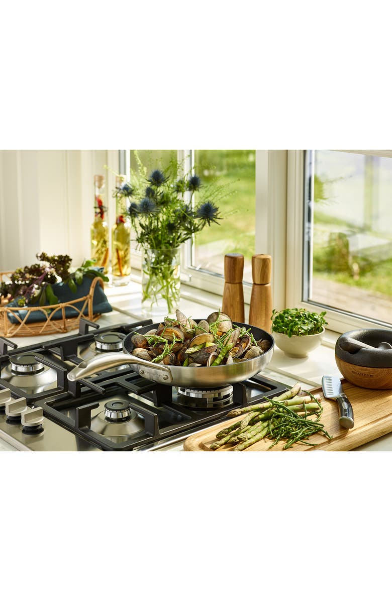 Scanpan CS+ 11-Inch Nonstick Fry Pan, Alternate, color, Silver