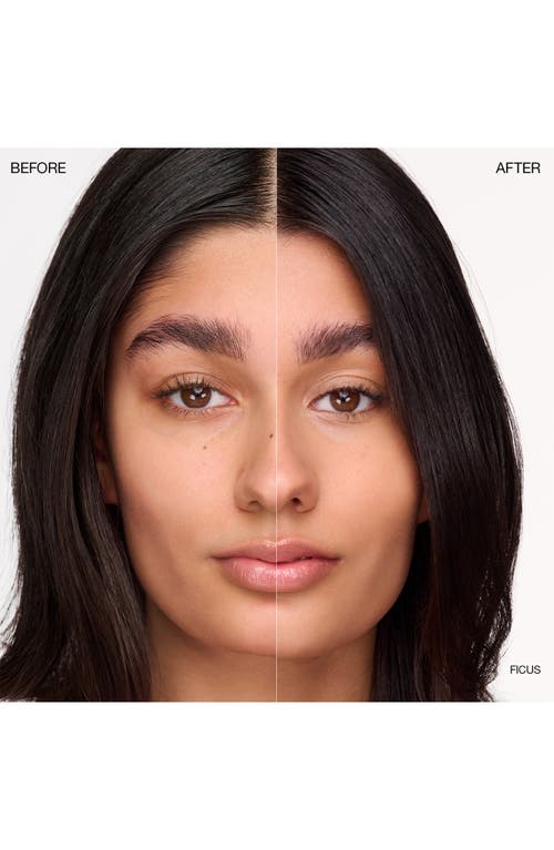 Ogee Complexion Perfecting Concealer In Green