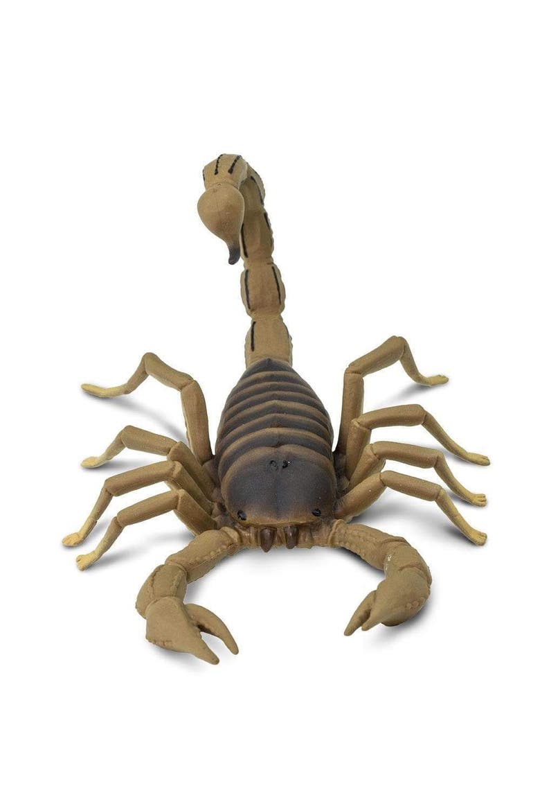 Scorpion Toy, Alternate, color, No Color