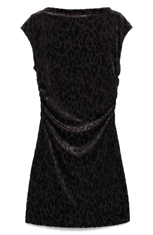 Mango Leopard Devoré Velvet Minidress In Black