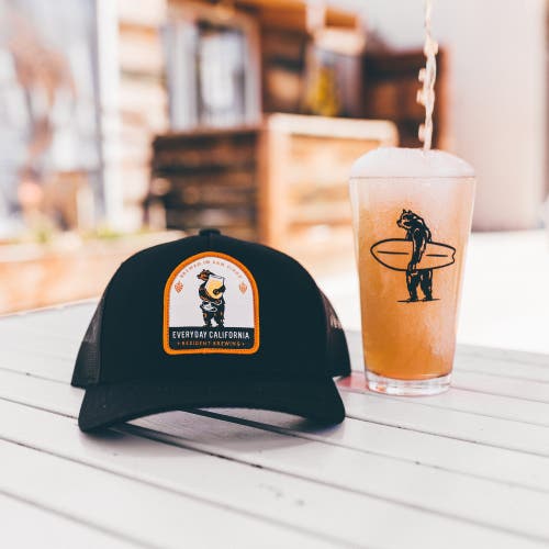 Everyday California Brewski Trucker Snapback Hat In Black
