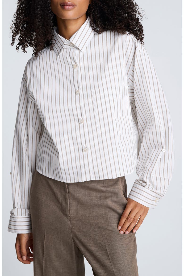 Stripe Crop Button-Up Shirt, Main, color, WHEAT/ BARK COMBO