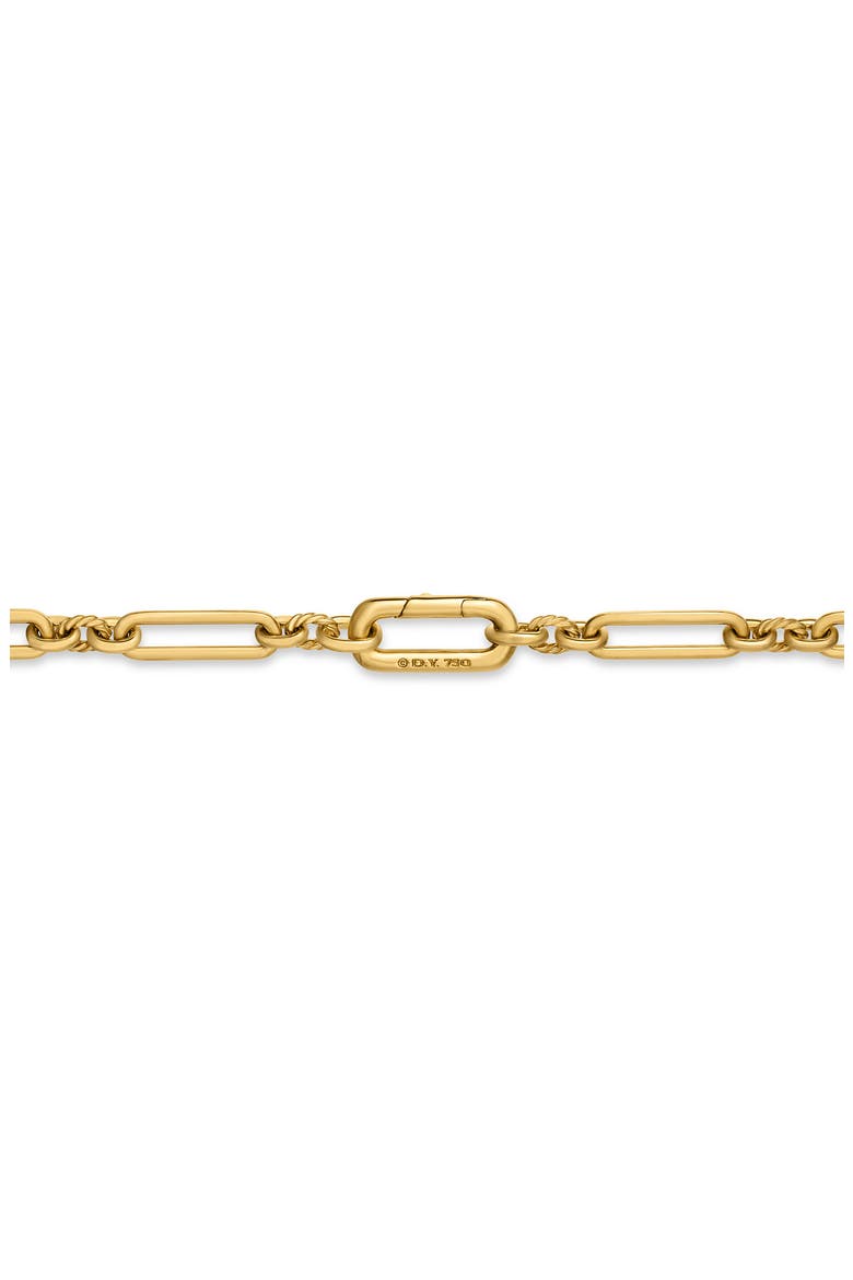 Lexington 18K Gold Chain Necklace, Alternate, color, YELLOW GOLD
