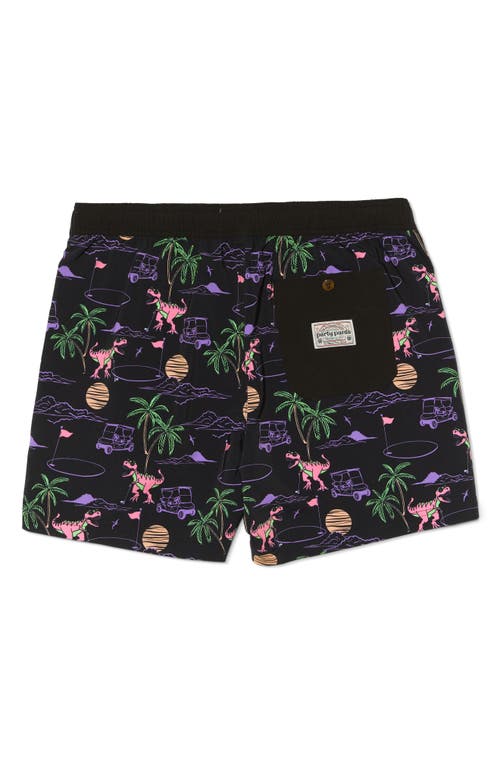 Party Pants Big Putt Swim Trunks In Black