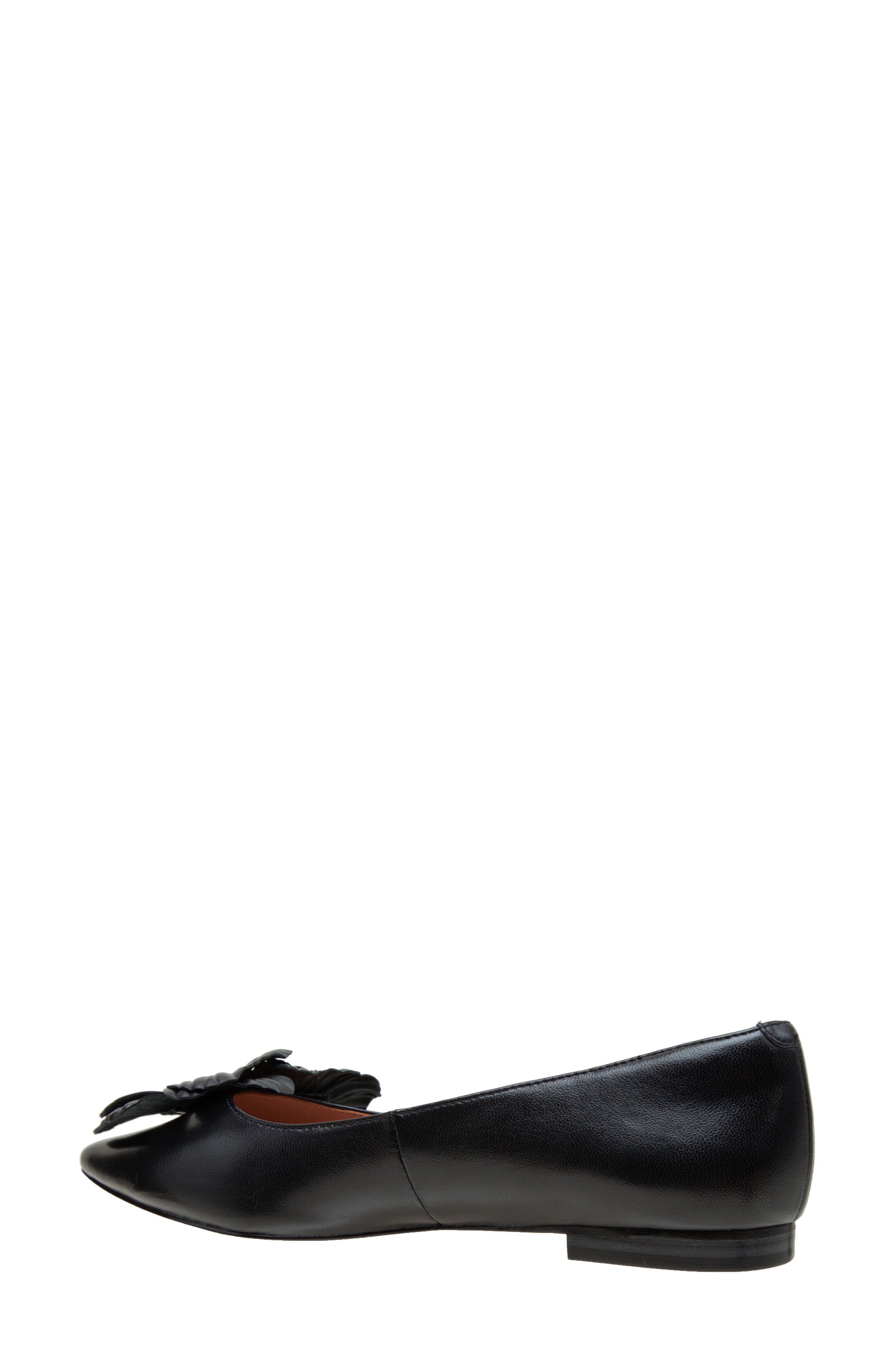 Linea Paolo Nerine Pointed Toe Flat, Alternate, color, Black